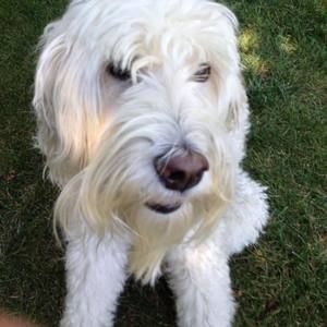 Meet your Posher, Jacob